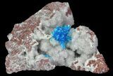 Vibrant Blue Cavansite Cluster on Stilbite - India #67803-3